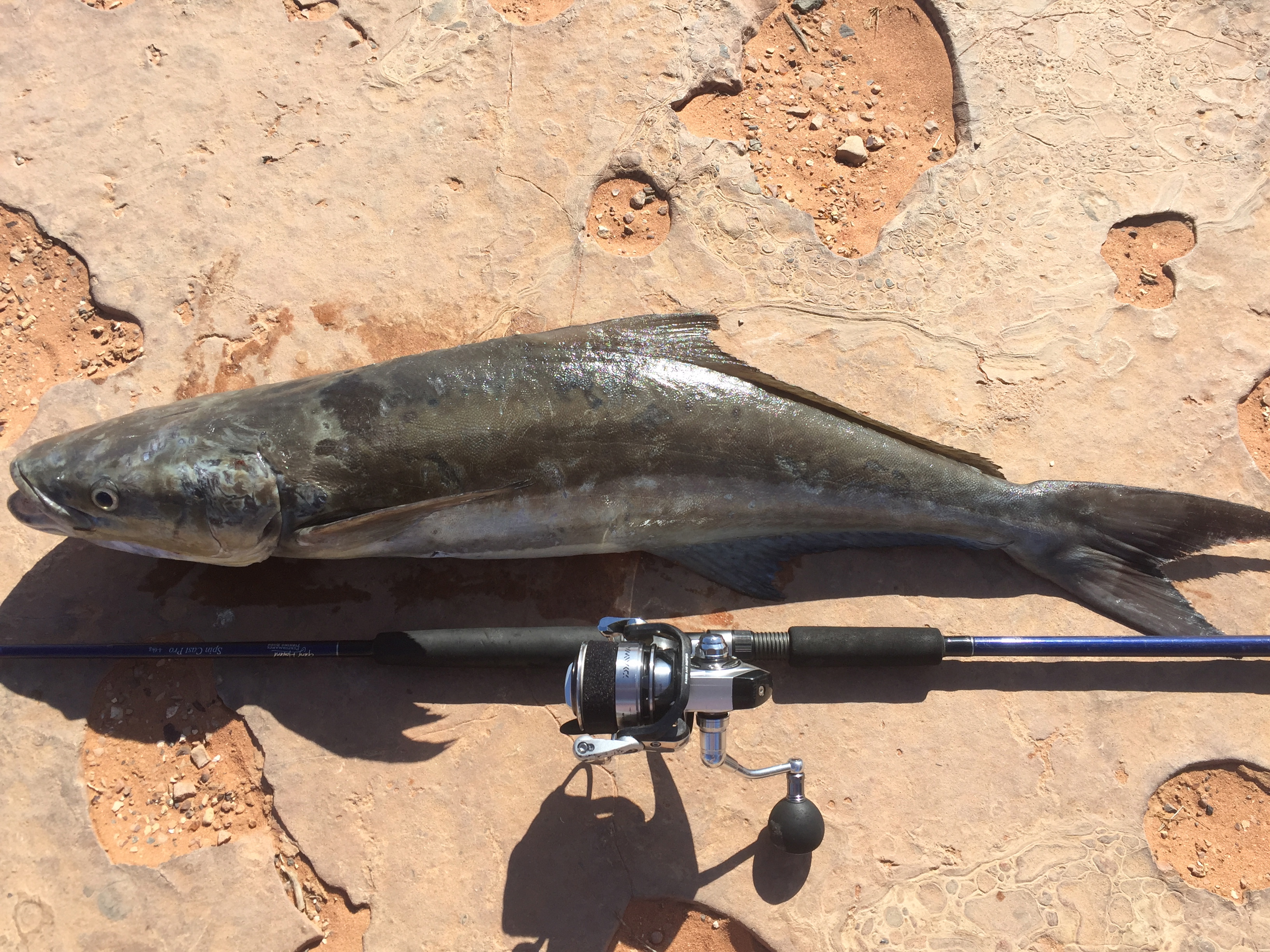 Solo First time at Quobba Fishing Fishing WA